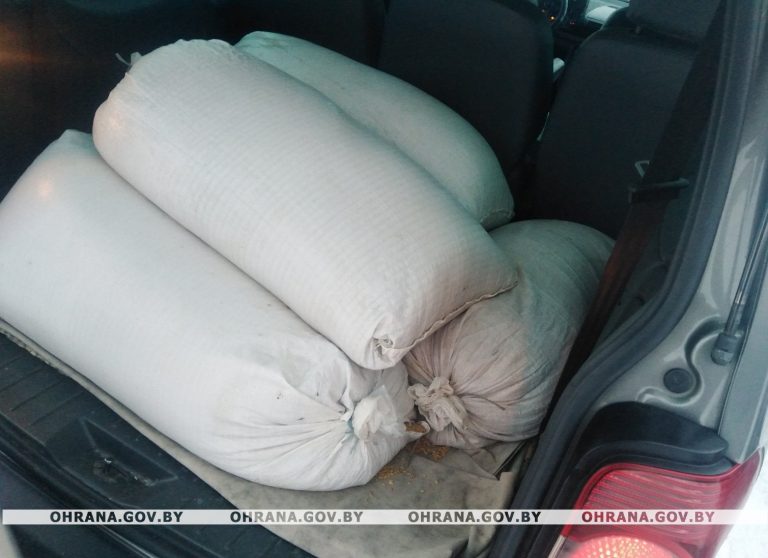 Ячмень без соответствующей документации задержали в Бобруйском районе