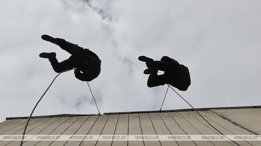 Лукашенко и Шойгу обсудили подготовку и слаживание союзной группировки войск