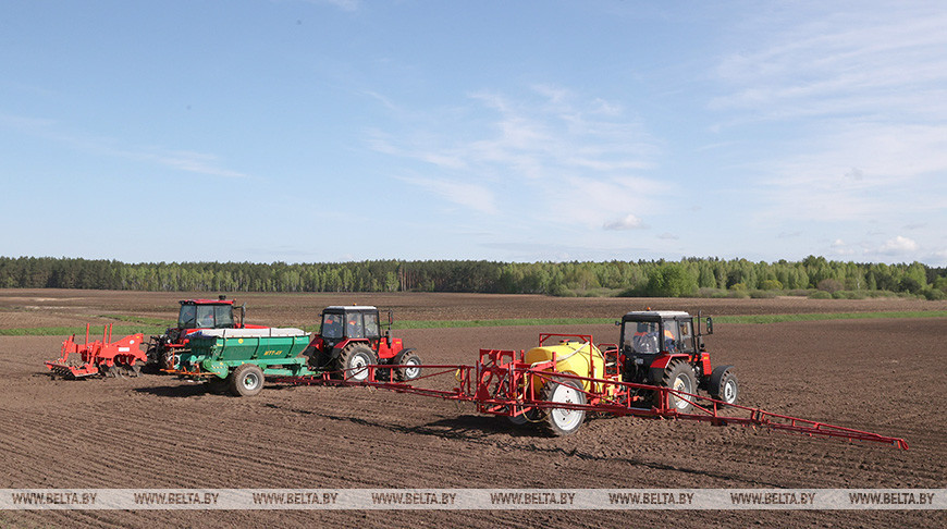 Вопросы развития Гомельской области будут рассмотрены во время рабочей поездки Лукашенко в регион