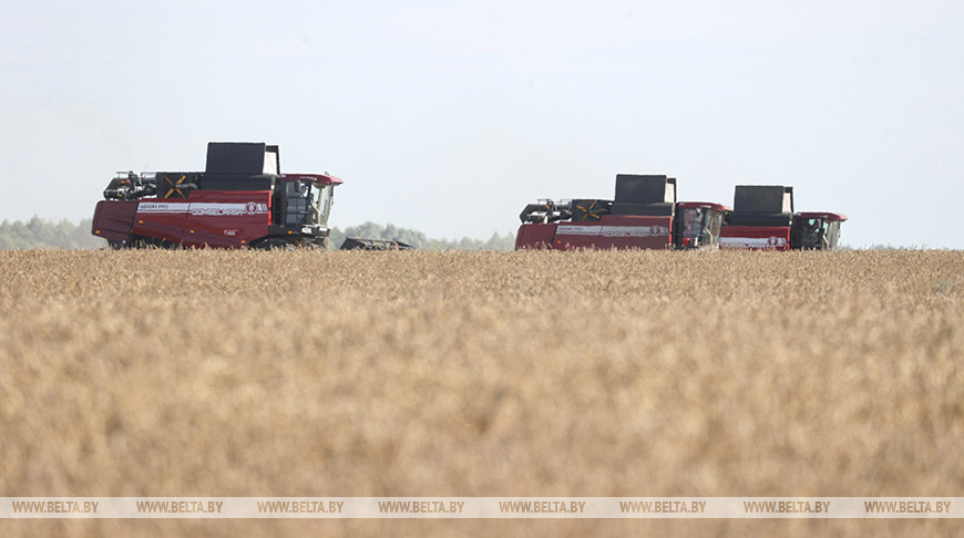 Лукашенко совершит рабочую поездку в Каменецкий район