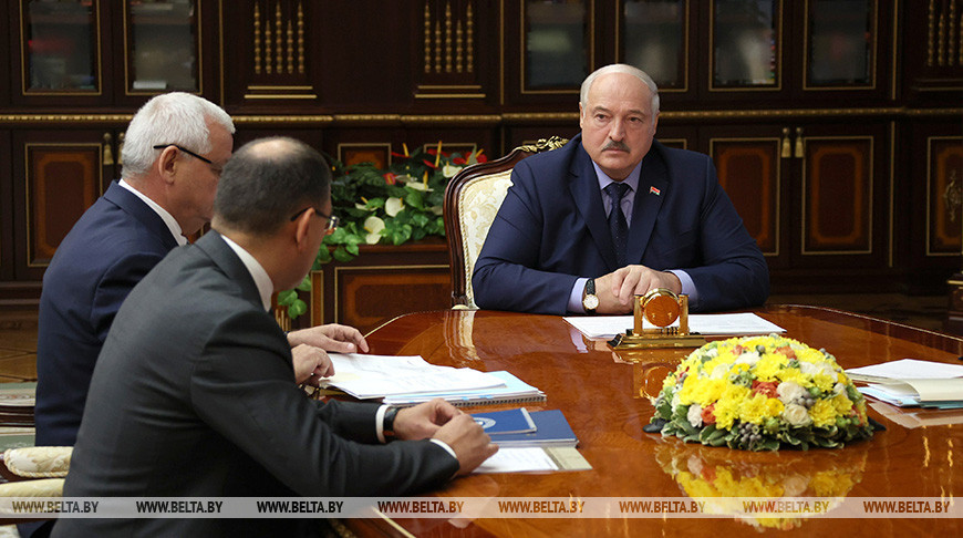 "Коль людям пообещали - надо". Лукашенко о мощности сетей для использования электричества в целях отопления