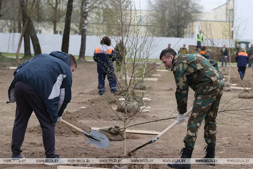 Республиканский субботник проходит в Могилеве