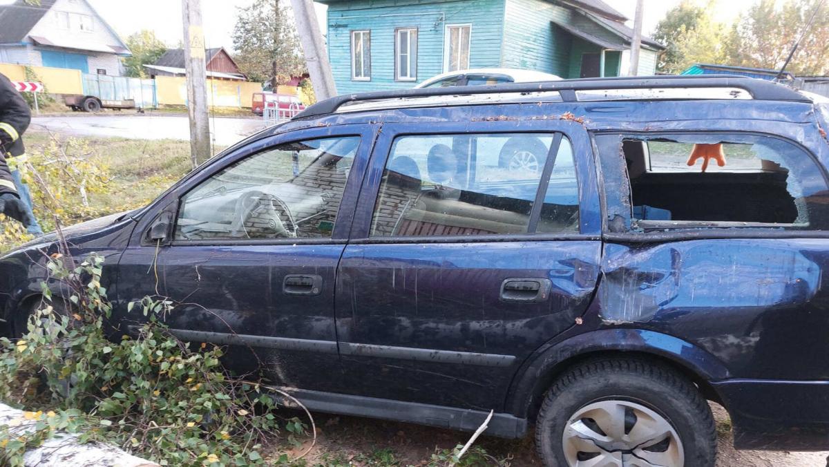 В Могилеве и Шклове упавшими деревьями повреждено 2 легковых автомобиля