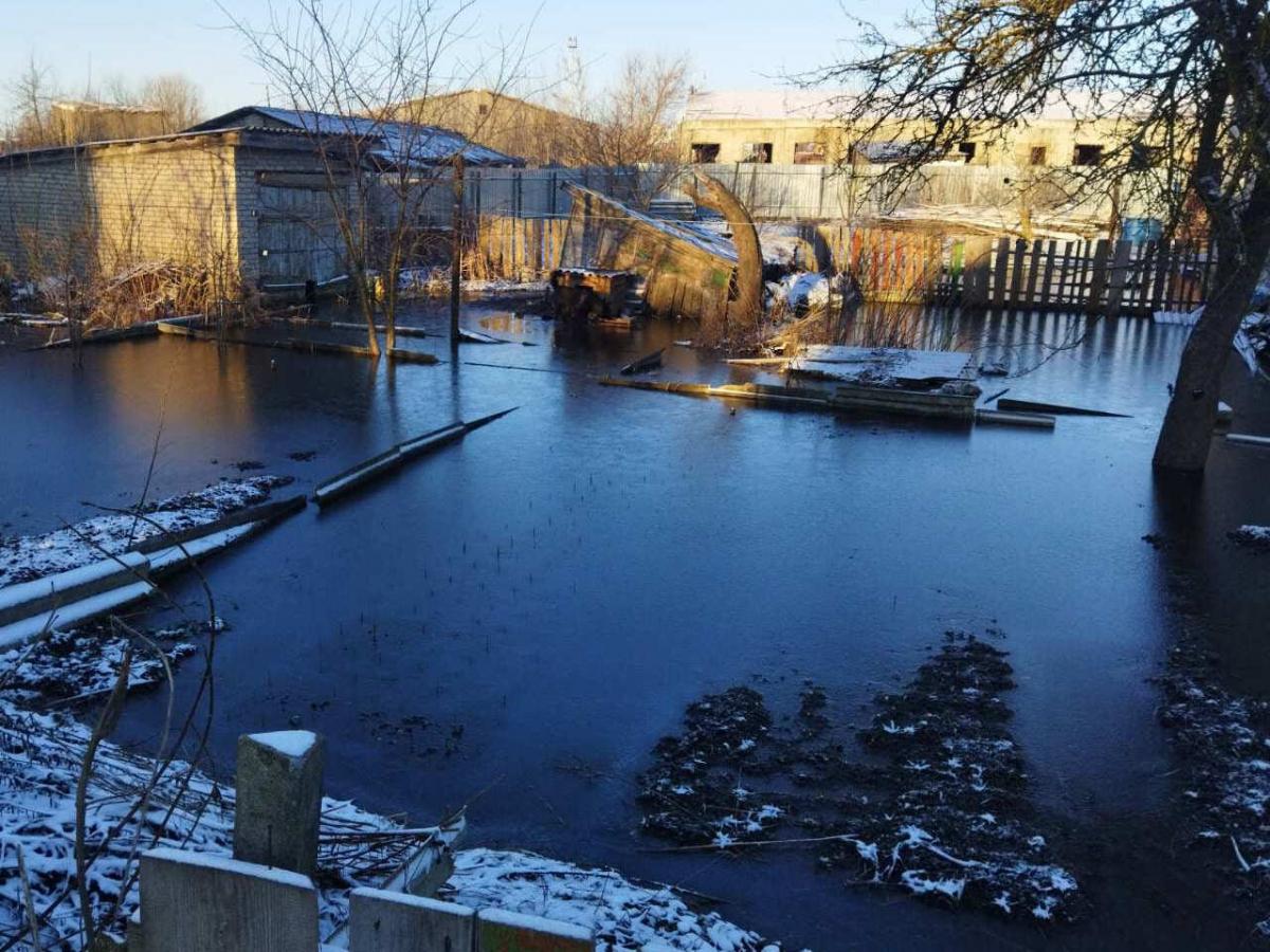 В Кричеве оперативно устранили критичность последствий подтопления