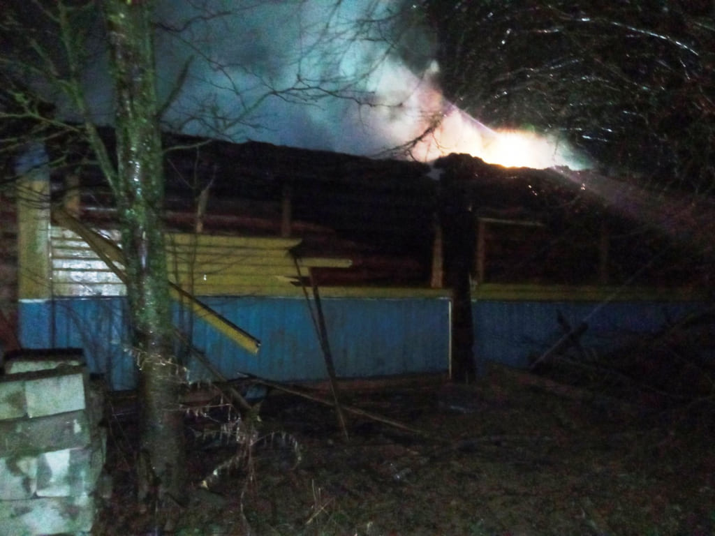 На пожаре в Быховском районе погиб пенсионер