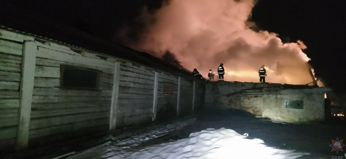 Пожар коровника тушили в Осиповичском районе