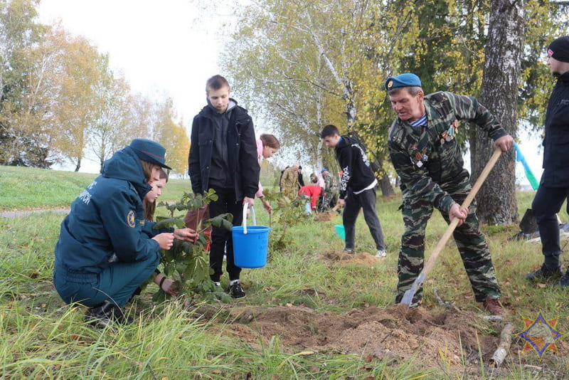 Члены БМООСП приняли участие в высадке деревьев на аллее памяти в Чаусах