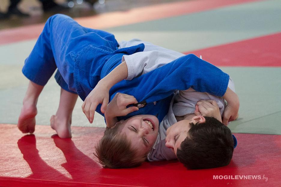 Олимпийские дни молодежи по дзюдо пройдут в Могилеве