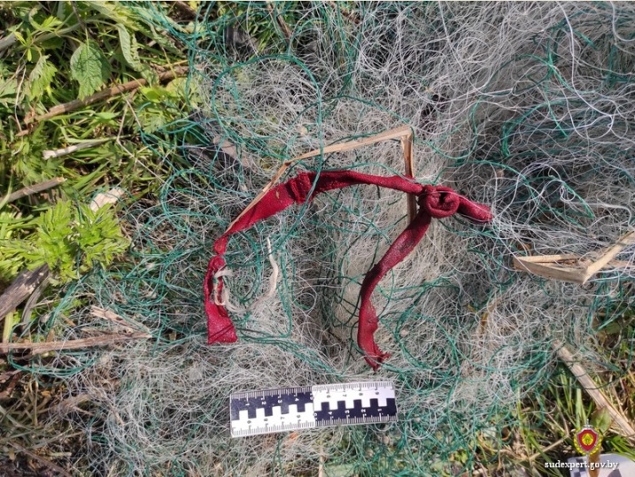 В Кричеве судебные эксперты помогли доказать причастность мужчины к браконьерству