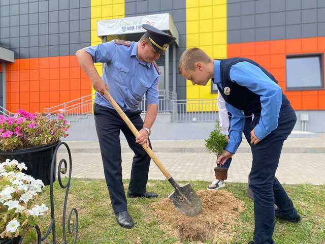 Аллею ко Дню народного единства высадили в СШ №46 г. Могилева