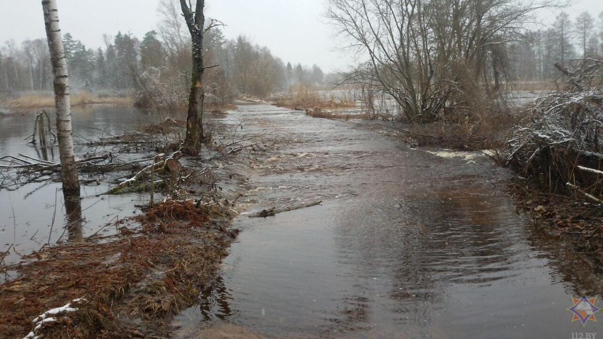 Дачные дома и участок дороги подтоплены в Могилевском районе