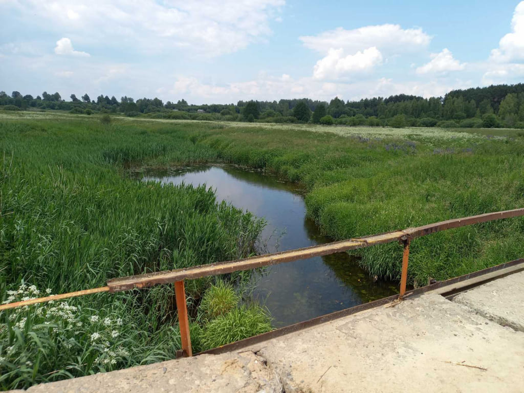 В Горецком районе утонул мужчина