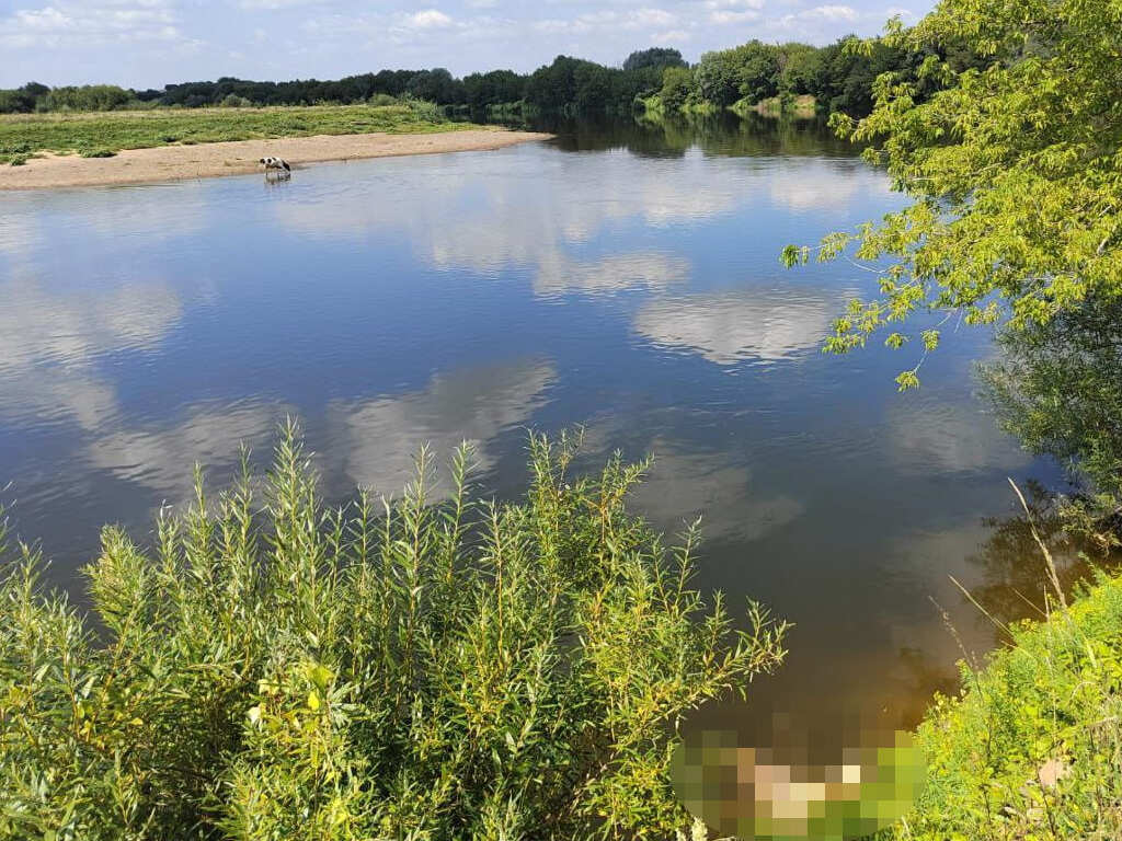 В Днепре утонул 41-летний житель Быхова