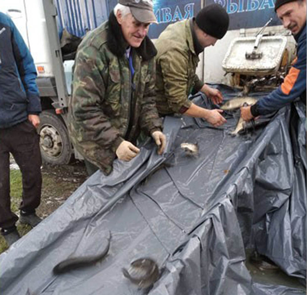 Белый амур и толстолобик: на Мстиславщине провели зарыбление водоёма на р.Кашанка