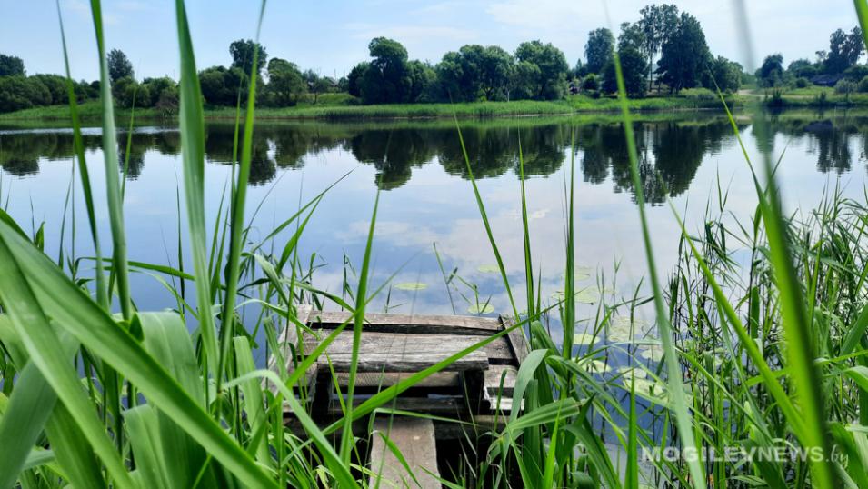Значительно ниже будет температура воздуха в начале следующей недели в Могилевской области
