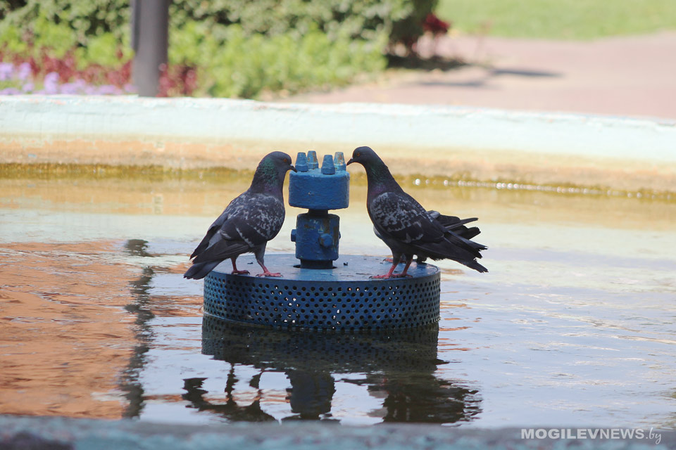 Погода на неделю: в ожидании дождей и до +31°С