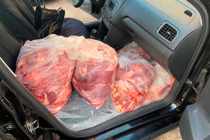 В Мстиславле сотрудники ДПС пресекли незаконную транспортировку 660 кг мяса