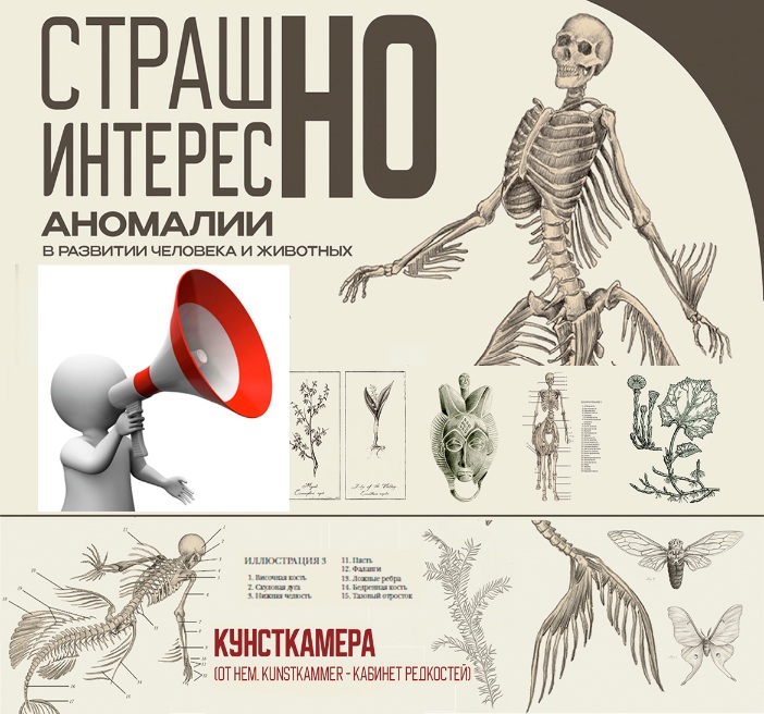 Музей имени П.Масленикова приглашает посетить выставочный проект «Анатомикус»