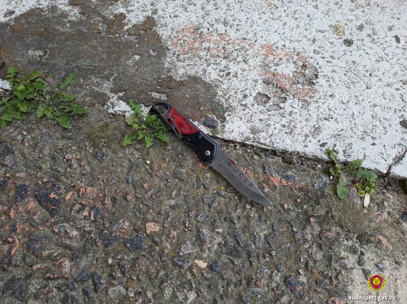 42-летний уроженец Бобруйска предстанет перед судом за причинение тяжких телесных повреждений жителю этого же города