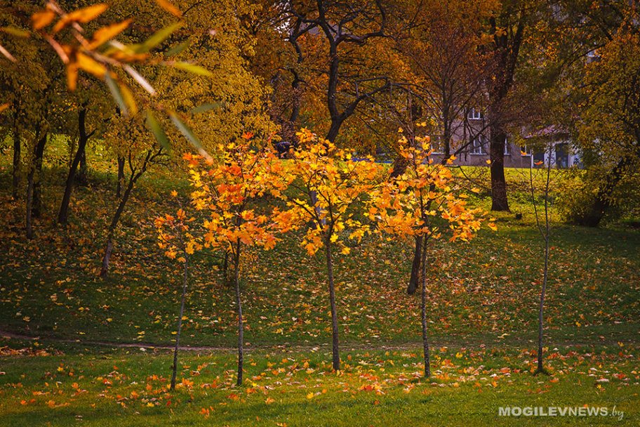 Дожди и похолодание придут в Могилевскую области в начале следующей недели