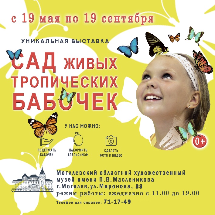 С 19 мая в Могилеве поселятся крылатые красавицы