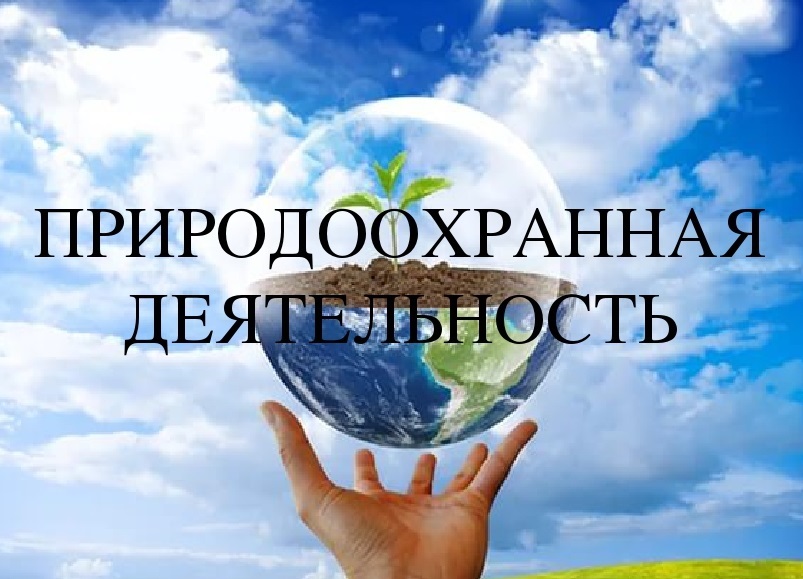 Почти 3 тысячи контрольно-аналитических мероприятий проведено Могилевским облкомитетом природоохраны в 2022 году