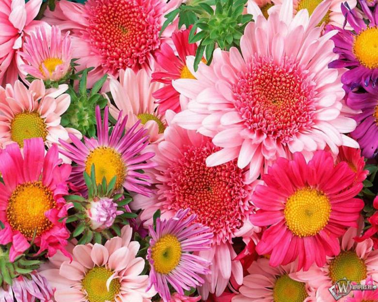 Поздравление с Днем медицинских работников