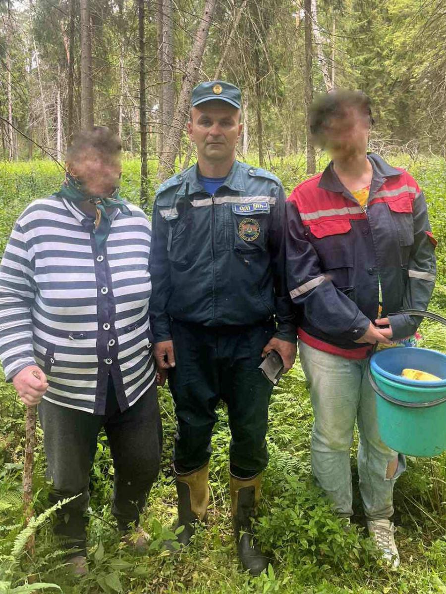 В Могилевском районе мать и дочь заблудились в лесу
