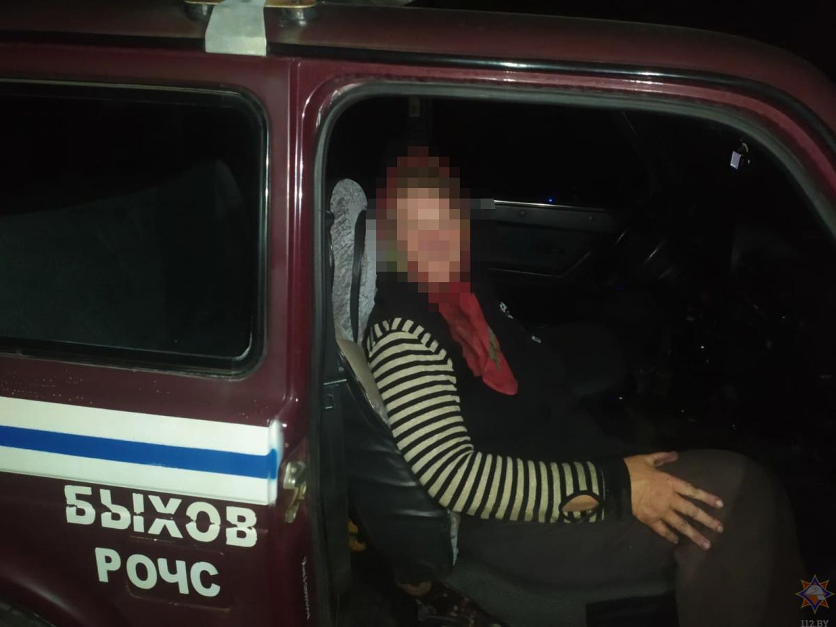 В Быховском районе заблудилась пенсионерка: дорогу домой ей помогли найти спасатели