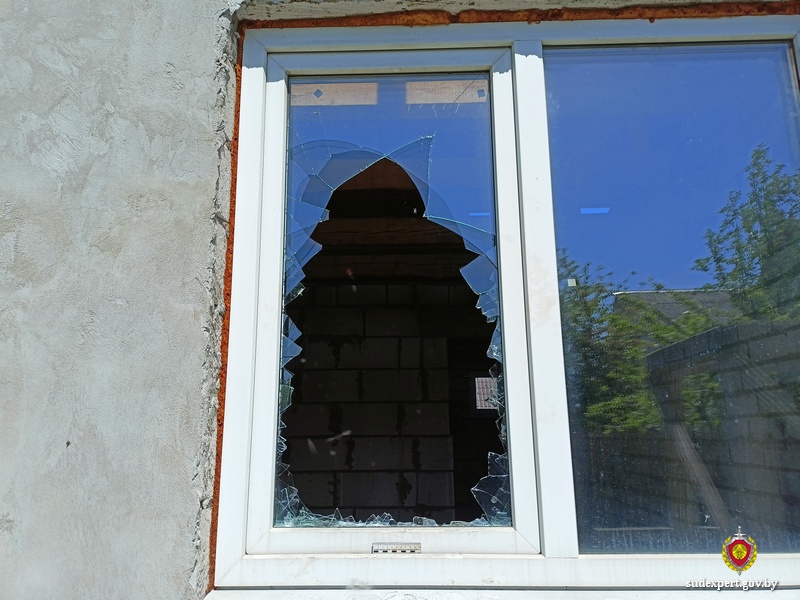 Сын обворовал родительский дом в Могилеве