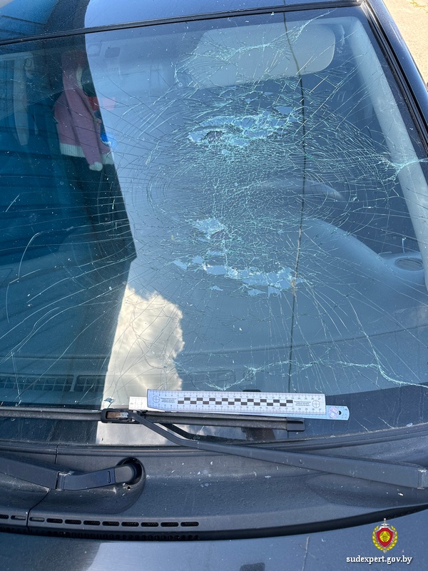 Хулигана из Хотимска, незаметно повредившего чужое авто, вычислили по следу ладони