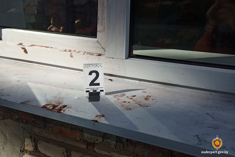 Открытое окно на первом этаже «помогло» вору в Могилеве