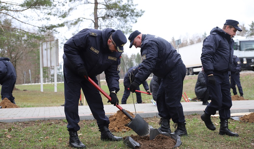 Сотрудники центрального аппарата Следственного комитета приняли участие в посадке «Аллеи памяти»