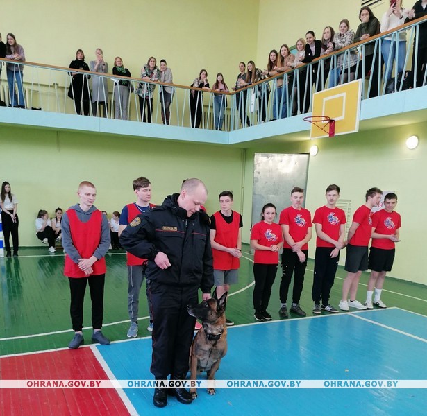 Показательные выступления кинологов с собаками прошли в Могилеве
