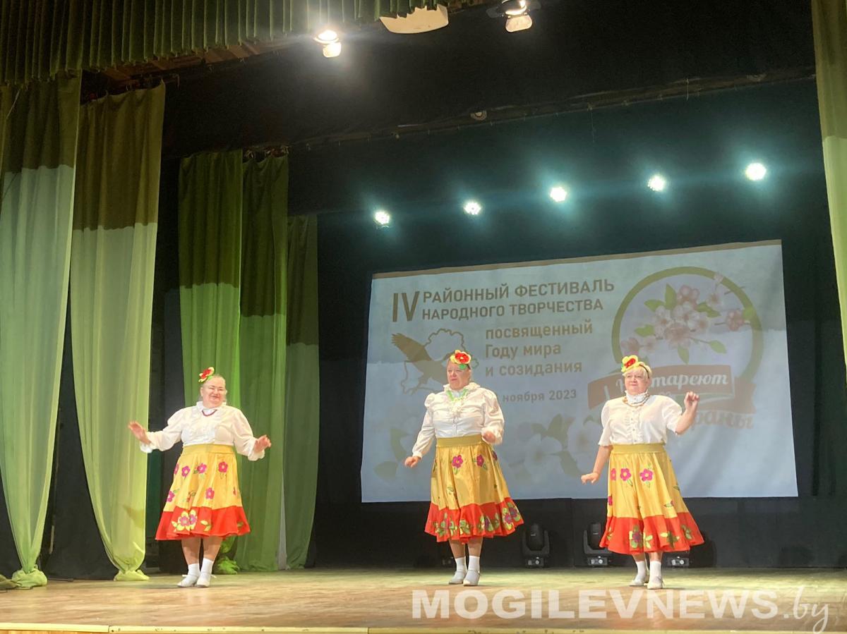 Фестиваль творчества «Не стареют душой ветераны» прошел в Могилеве. Фото
