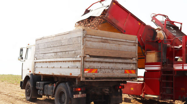 На полях Бобруйского района: сев, уборка, заготовка