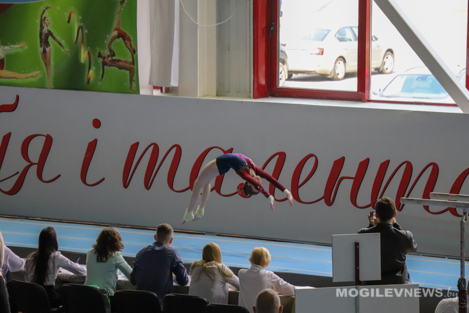 Чемпионат Беларуси по прыжкам на батуте проходит в Могилеве. Фото