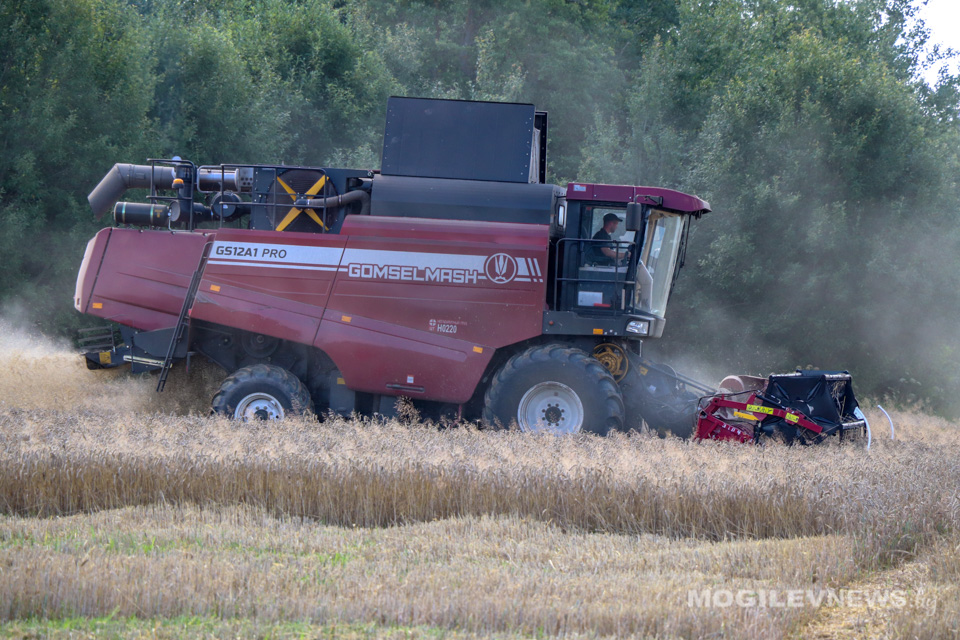 Лукашенко об урожае 2023 года: мы будем обеспечены всем необходимым