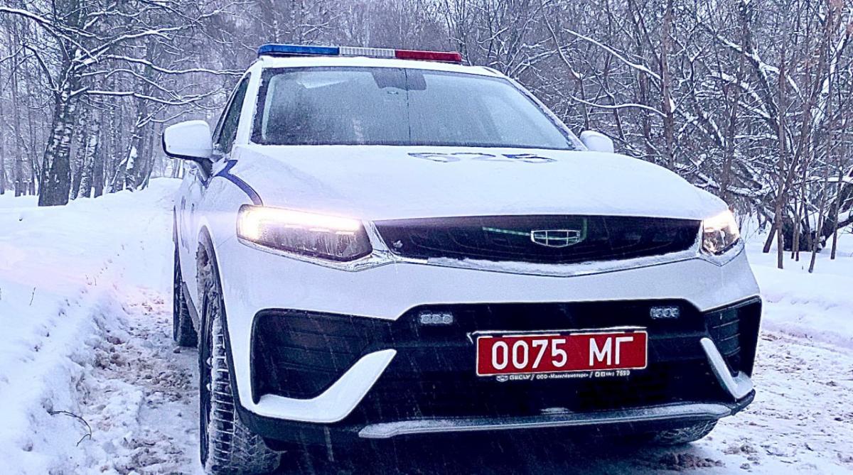 Единый день безопасности дорожного движения пройдёт 24 февраля