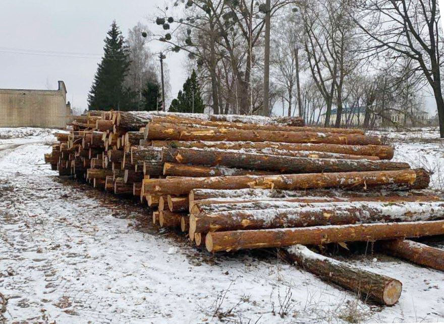 В Осиповичском районе предотвратили хищение древесины
