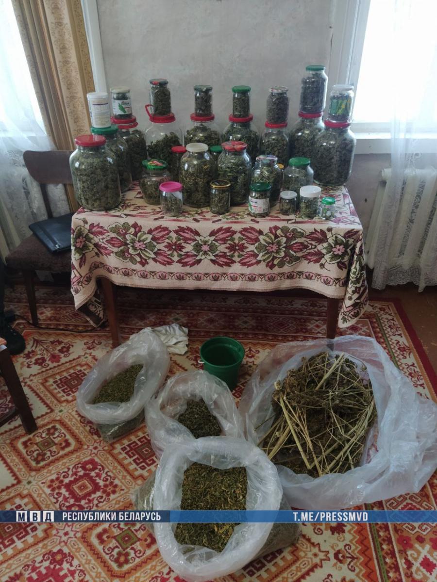 В Могилеве задержан распространитель марихуаны