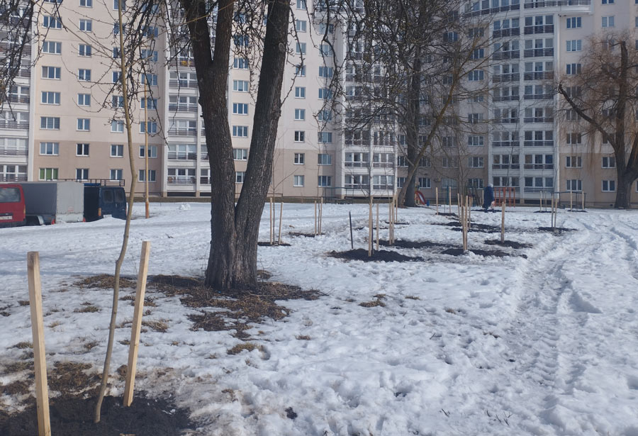 Новая зеленая зона появится в микрорайоне Спутник Могилева
