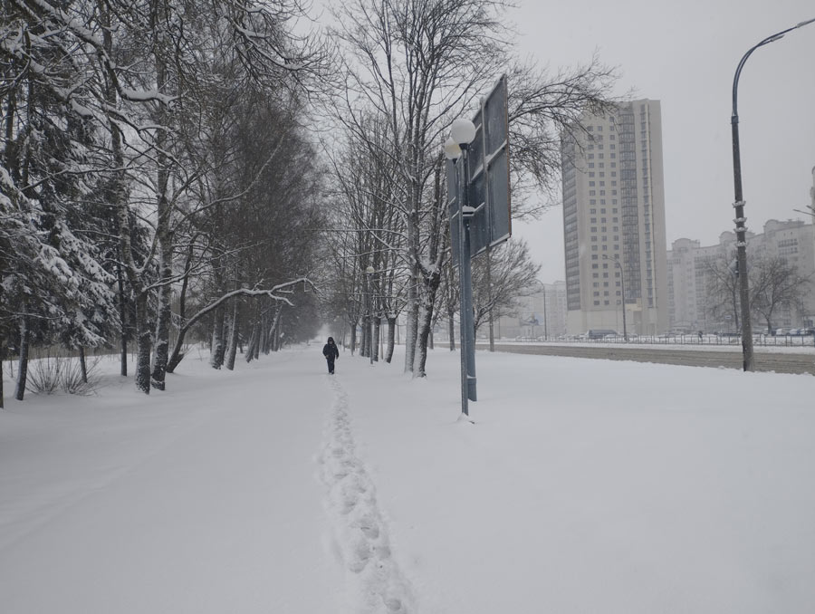 В Могилев вернулась зима. Фото