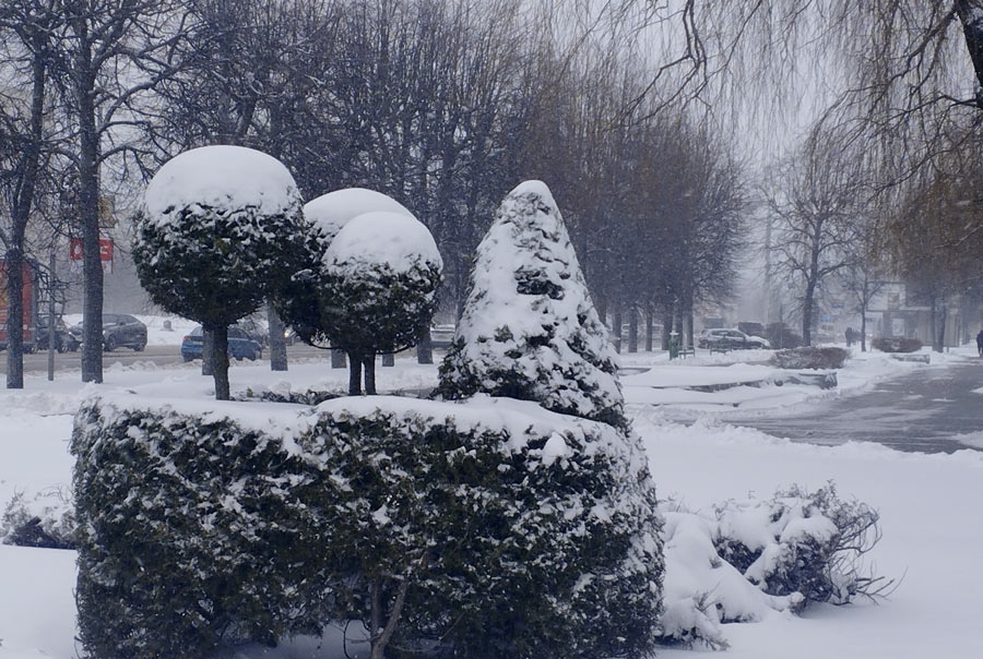 Оранжевый уровень опасности из-за гололедицы объявлен в Могилевской области на 30 марта