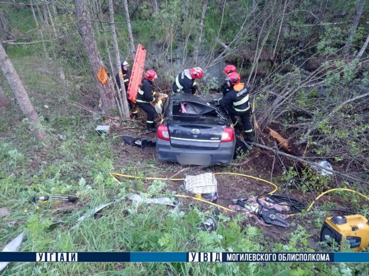 В Славгородском районе лось спровоцировал смертельное ДТП
