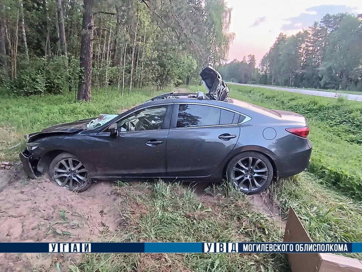 В Быховском районе Mazda наехала на лося - водитель и пассажир в больнице
