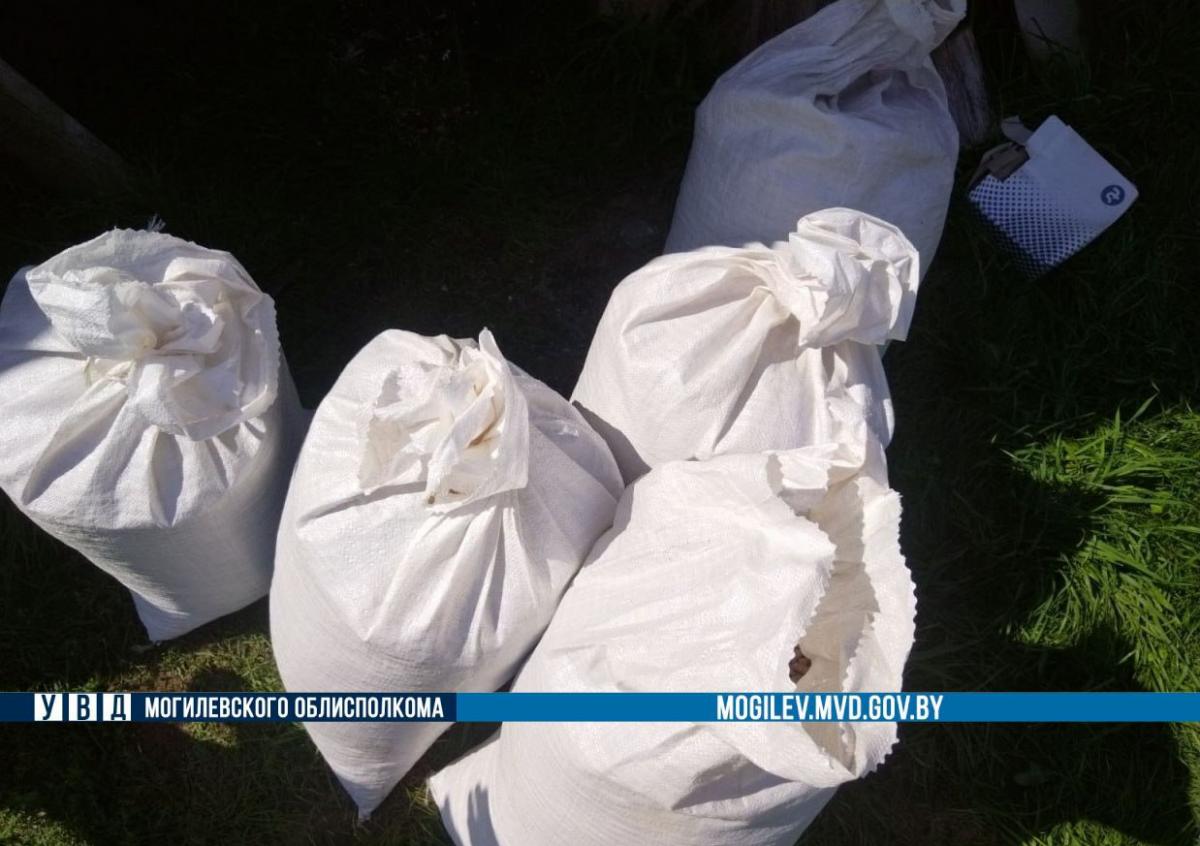 200 кг комбикорма похитил работник молочно-товарного комплекса в Глусском районе