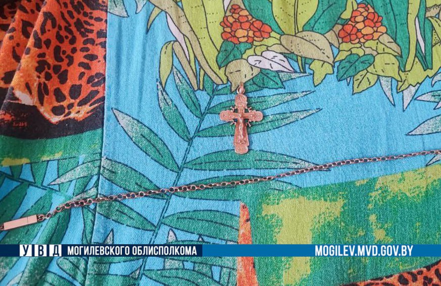 Могилевчанин сходил в гости и лишился ювелирного украшения