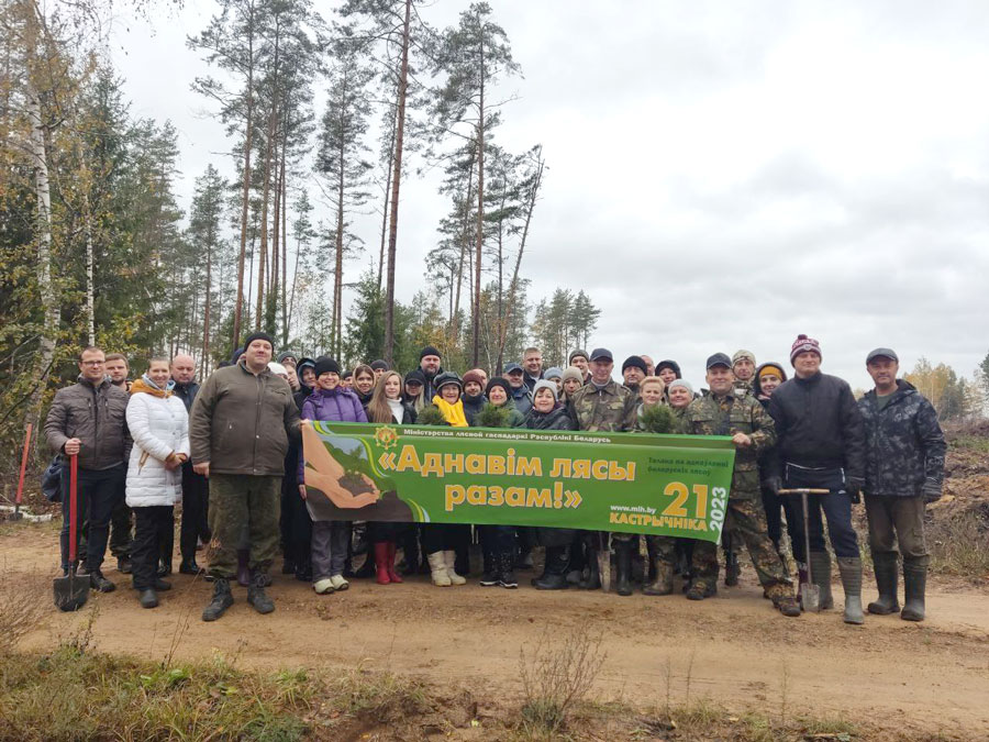 Специалисты лесной отрасли  Могилевской области вместе с волонтерами поучаствовали в акции «Аднавім лясы разам!»
