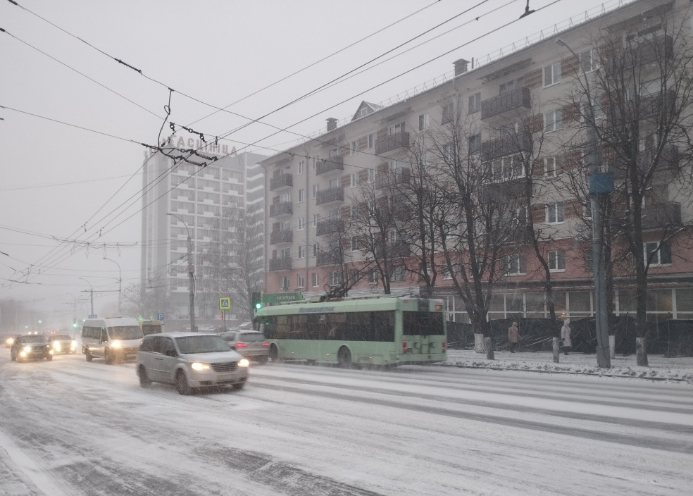 Очередная метель и сильный снег накроют Могилевскую область 29 ноября